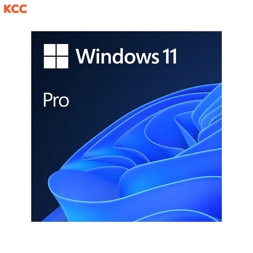 Phần mềm Windows Pro 11 64Bit Eng Intl 1pk DSP OEI DVD (FQC-10528)