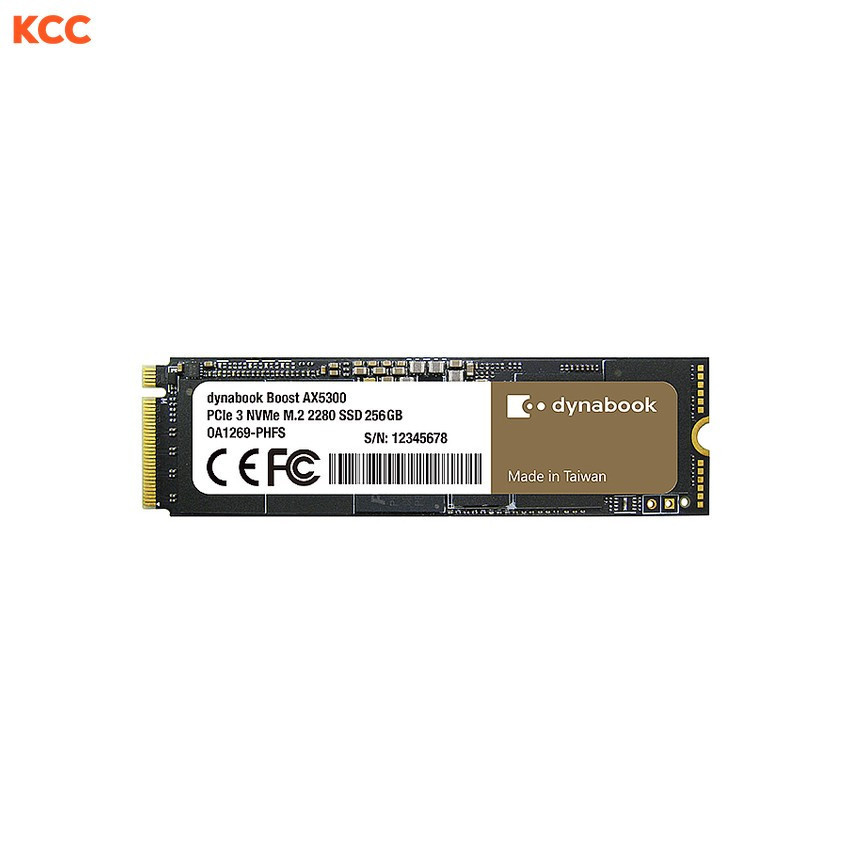 Ổ cứng SSD Dynabook Boost AX5300 256GB PCIe 3 NVMe (OA1269-PHCS)