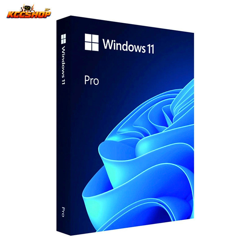 HỆ ĐIỀU HÀNH WINDOWS 11 PRO FPP 64-BIT ENG INTL USB (HAV-00163) (Doanh Nghiệp)