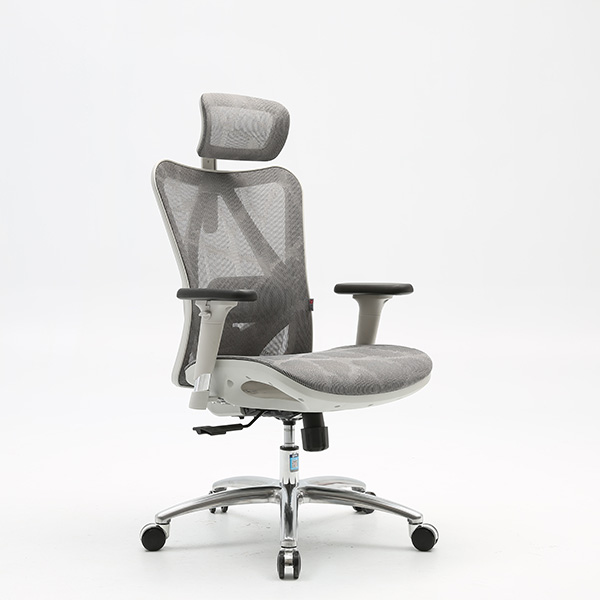 Ghế công thái học Sihoo M57 Gray