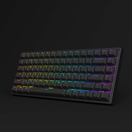 Bàn phím AKKO 3084 v2 RGB – Black (Foam tiêu âm / Hotswap / AKKO CS Jelly switch)